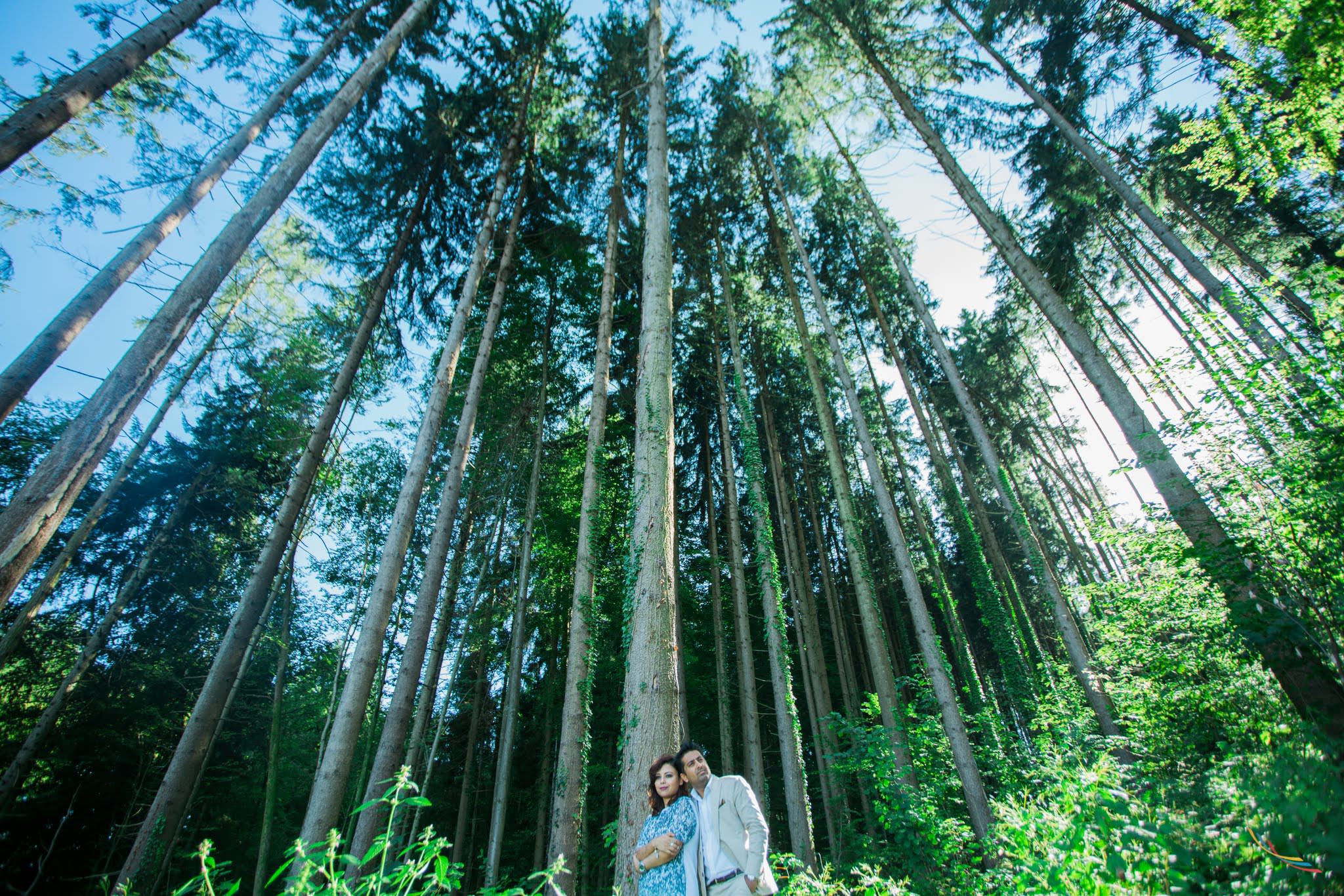 and Sahil and Neha and Austria ( of ) - Indian wedding photography by ColorBlast Weddings