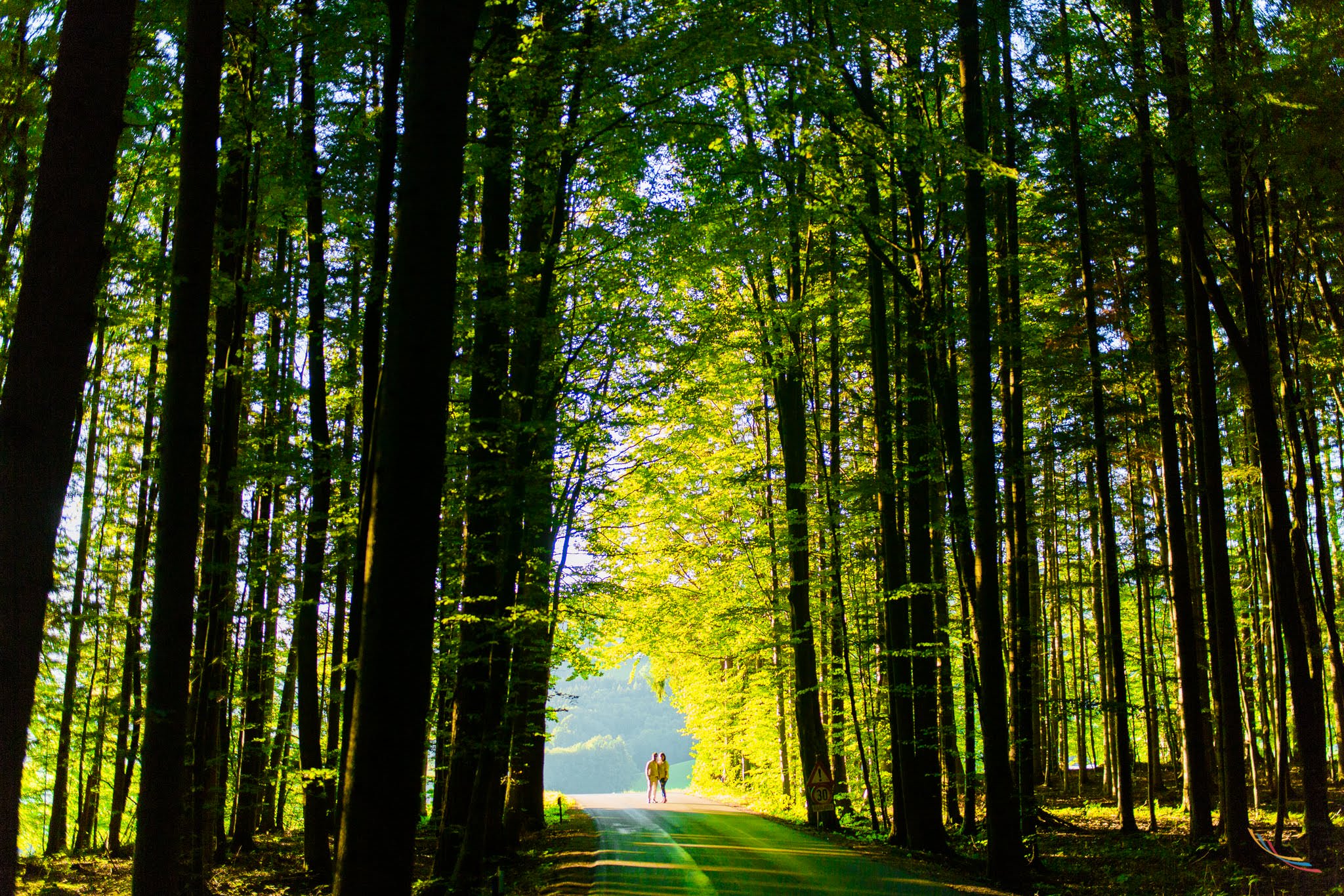 and Sahil and Neha and Austria ( of ) - Indian wedding photography by ColorBlast Weddings