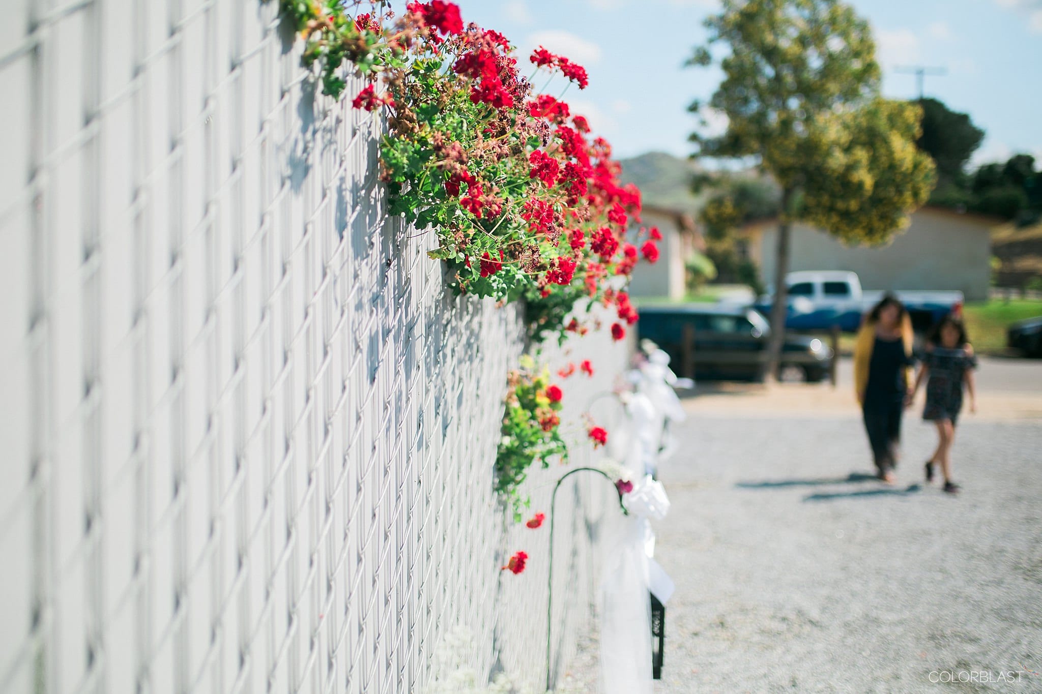 Los angeles backyard - destination wedding photography by ColorBlast Weddings
