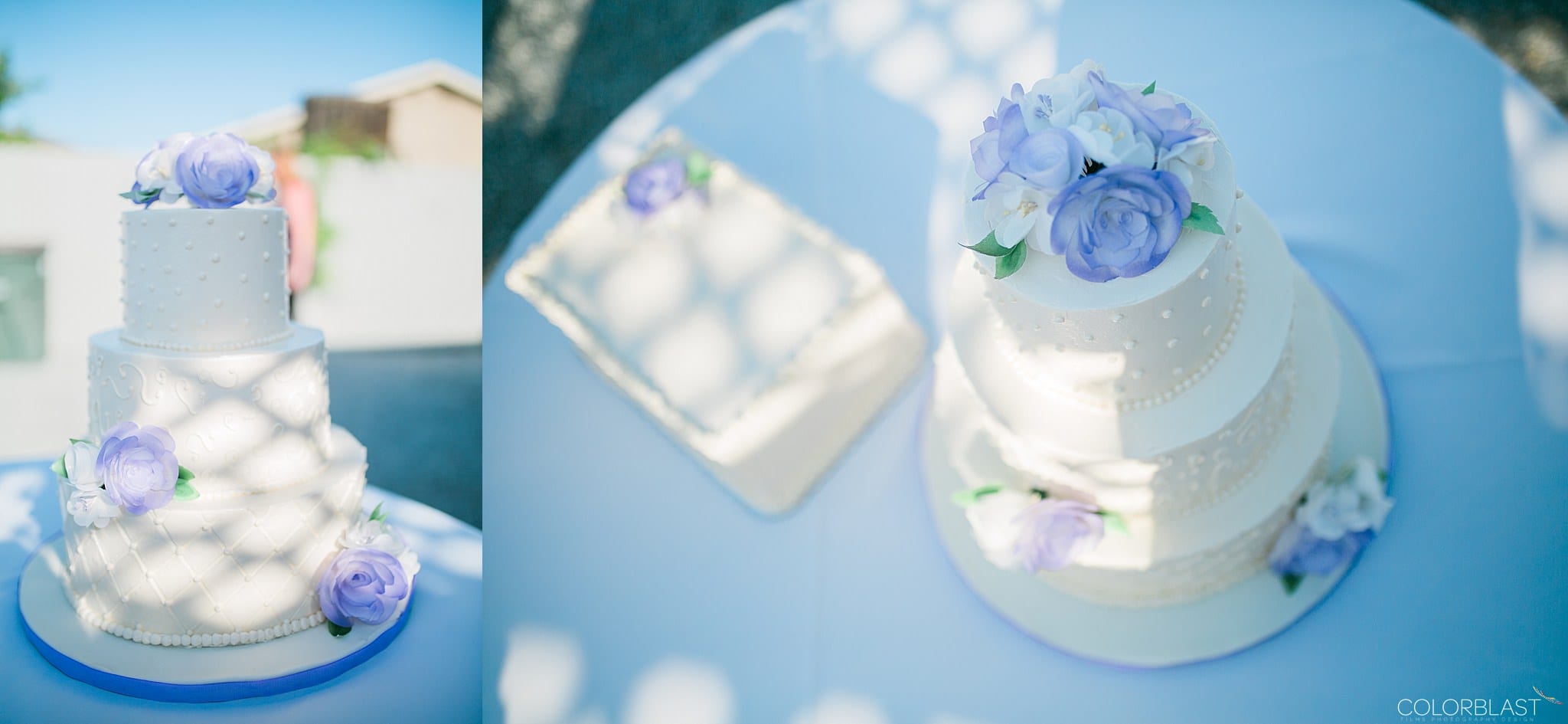 Los angeles backyard - destination wedding photography by ColorBlast Weddings